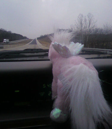 Watching the road