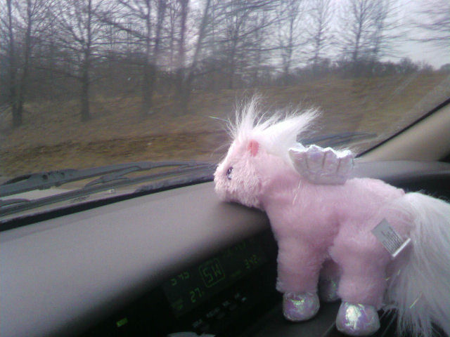 Still watching the road