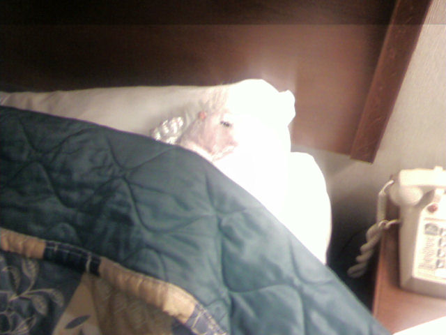 Kansas nap