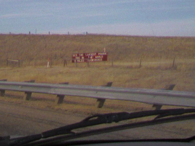 World's largest prairie dog
