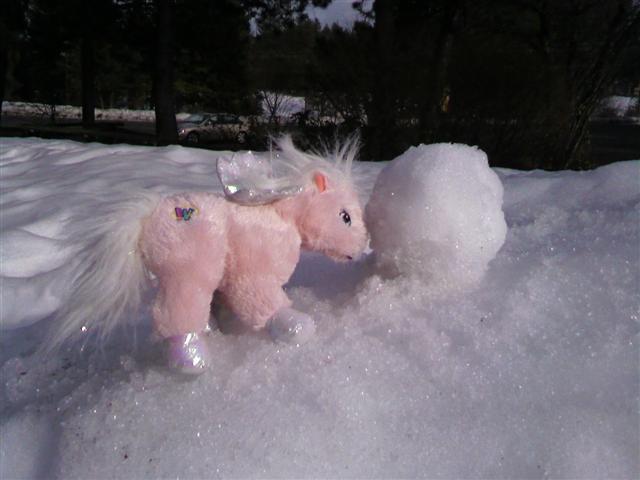 Snowball