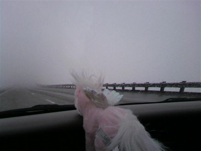 Missing road