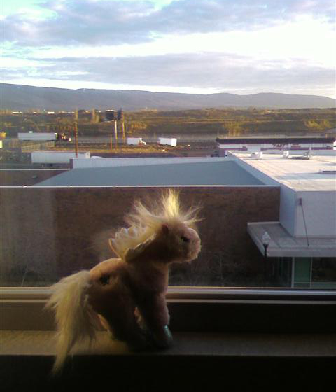 The Dalles