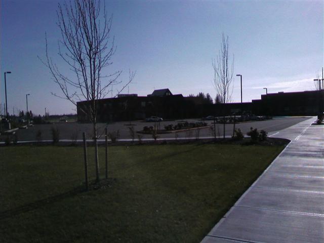 Kait's School 2